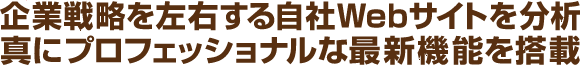 企業戦略を左右する自社Ｗｅｂサイトを分析　真にプロフェッショナルな最新機能を搭載